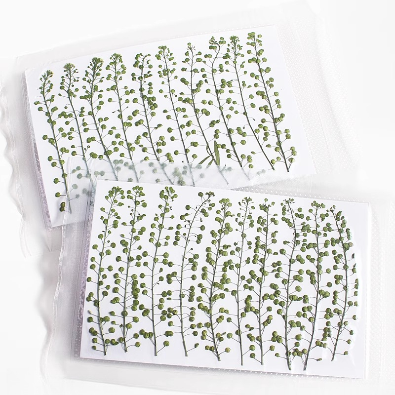 Natural Color Green Bell Grass - Resin Art Baby review and price