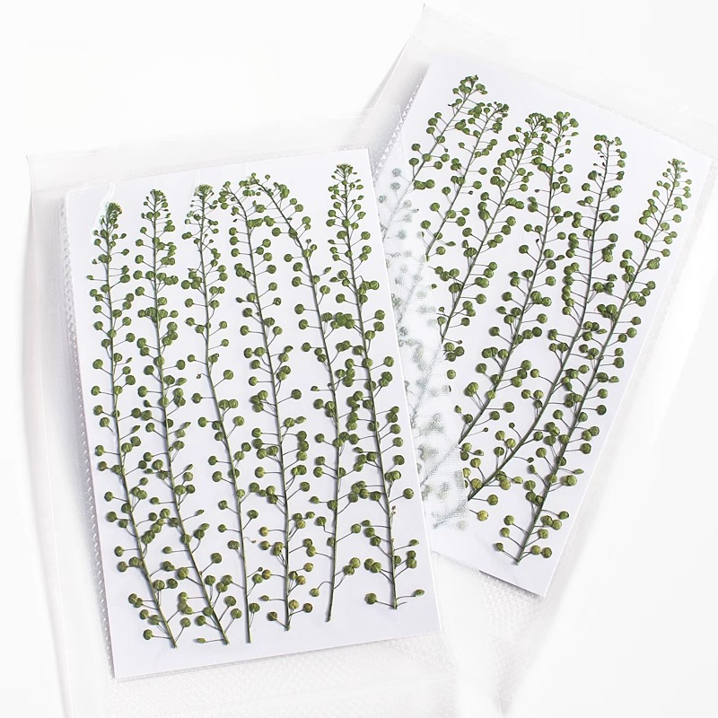 Natural Color Green Bell Grass - Resin Art Baby review and price