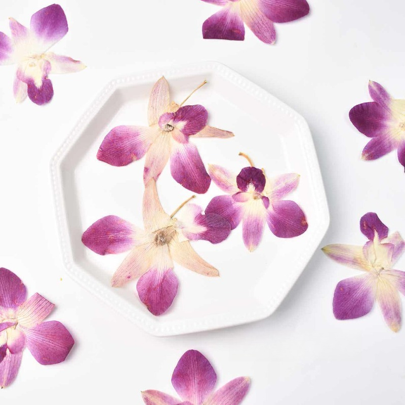 4pcs,Real Pressed Butterfly Or - Resin Art Baby review and price