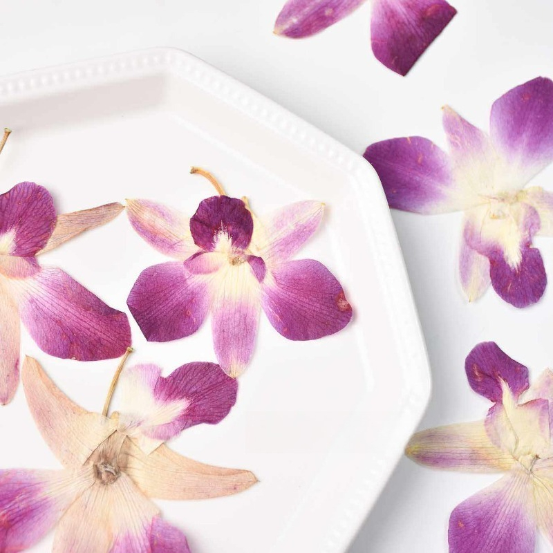4pcs,Real Pressed Butterfly Or - Resin Art Baby review and price