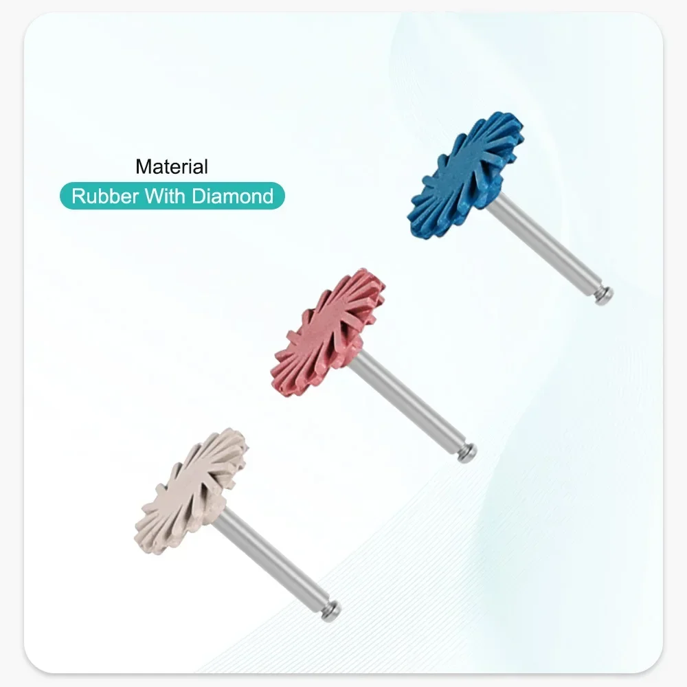 12Pcs/box Dental RA Rubber Res - Resin Art Case review and price
