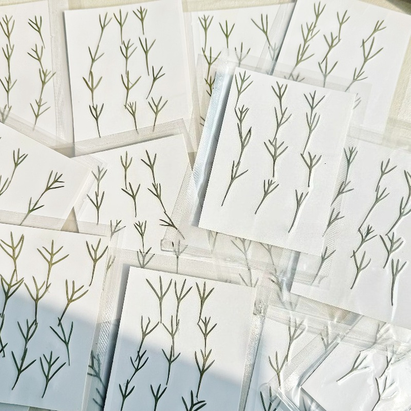 24pcs,Real Pressed Achillea Le - Resin Art Baby review and price