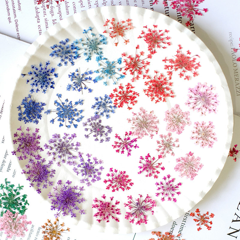 24pcs, 2-2.5cm, Nature Dyed Mi - Resin Art Baby review and price