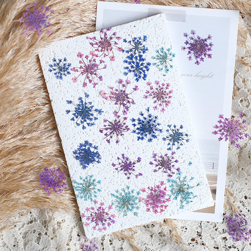 24pcs, 2-2.5cm, Nature Dyed Mi - Resin Art Baby review and price