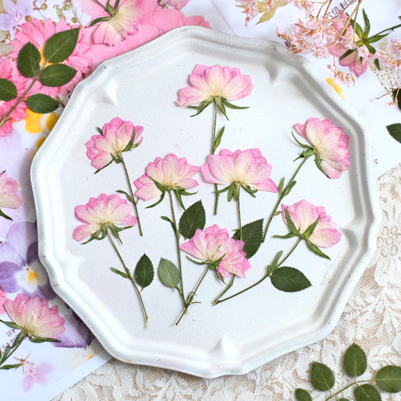 12pcs,Real Dried Pressed Flowe - Resin Art Baby review and price
