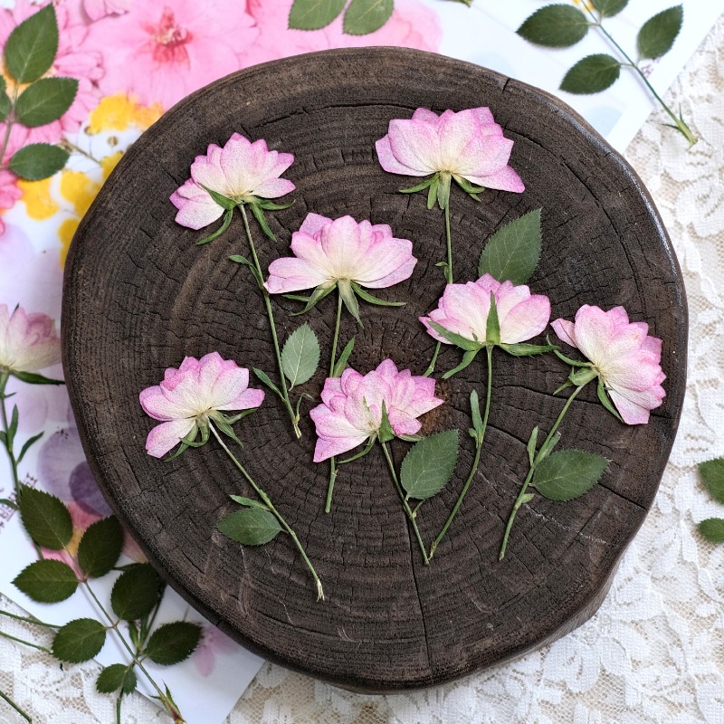 12pcs,Real Dried Pressed Flowe - Resin Art Baby review and price