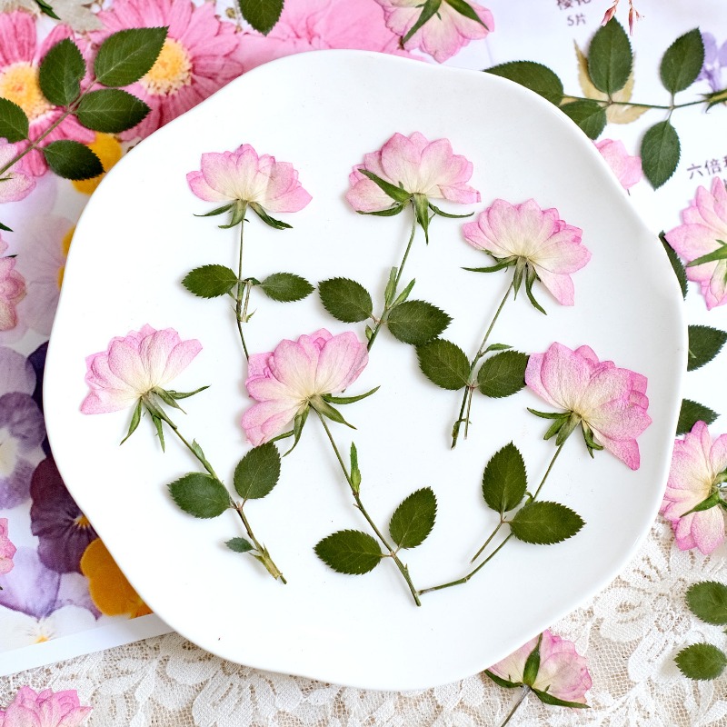12pcs,Real Dried Pressed Flowe - Resin Art Baby review and price