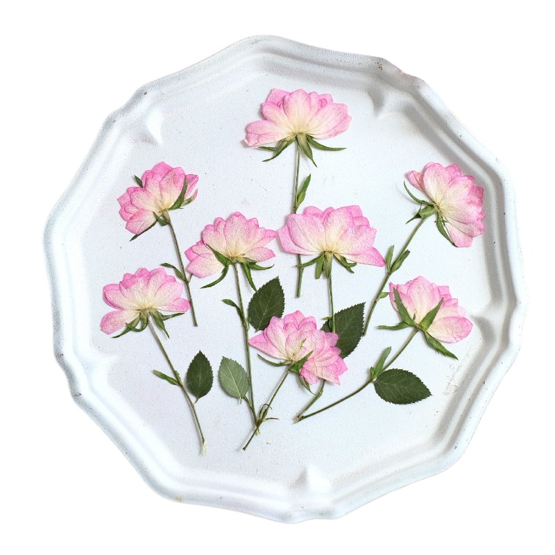 12pcs,Real Dried Pressed Flowe - Resin Art Baby review and price