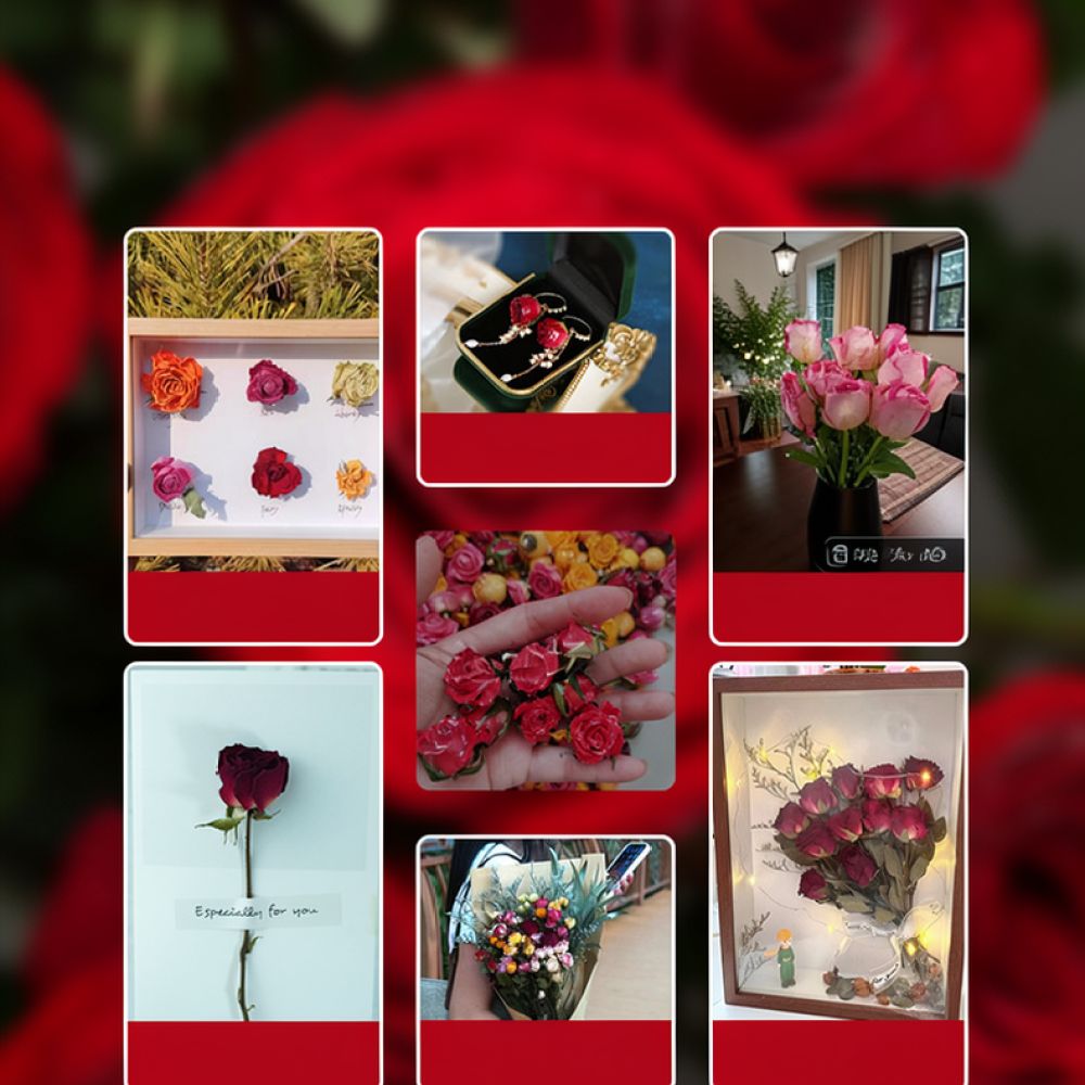 Natural Dried Rose Flower Bouq - Resin Art Rose review and price