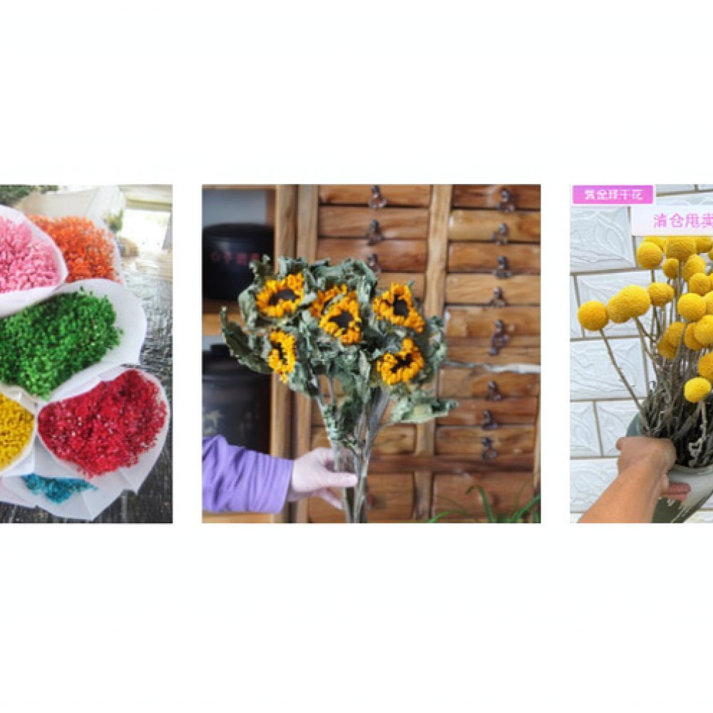 Natural Dried Rose Flower Bouq - Resin Art Rose review and price